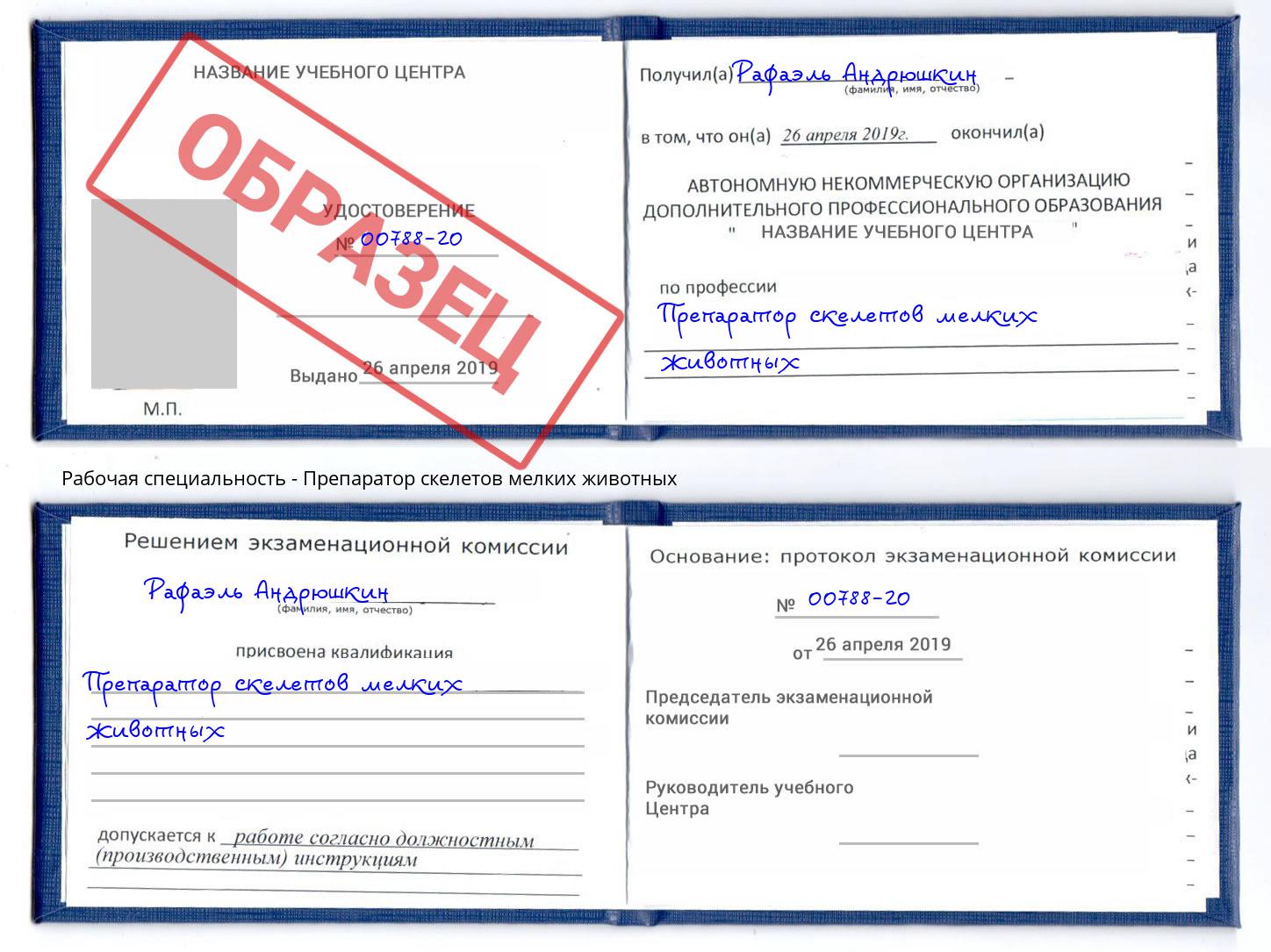 Препаратор скелетов мелких животных Электросталь