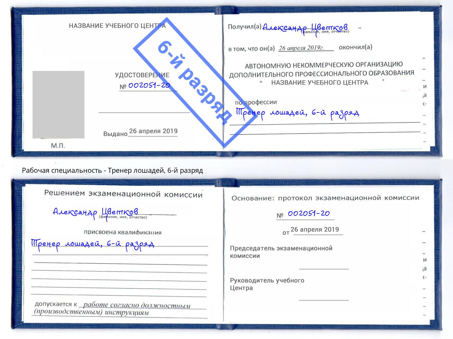корочка 6-й разряд Тренер лошадей Электросталь