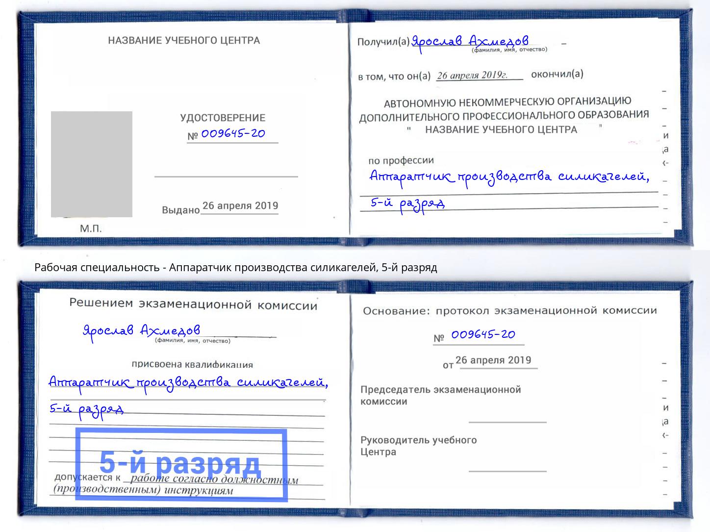 корочка 5-й разряд Аппаратчик производства силикагелей Электросталь