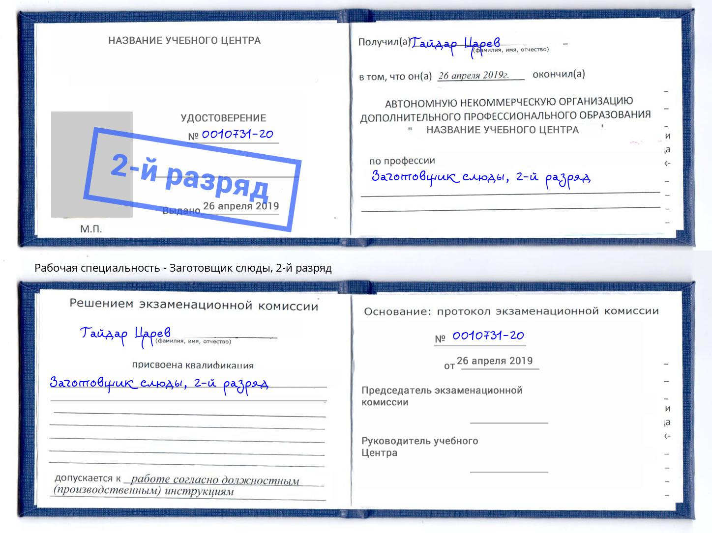корочка 2-й разряд Заготовщик слюды Электросталь