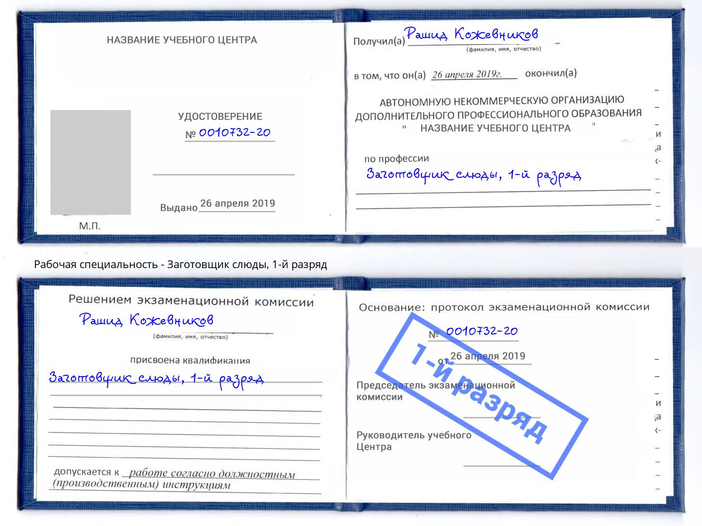 корочка 1-й разряд Заготовщик слюды Электросталь